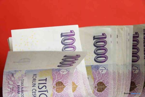 detailní fotografie