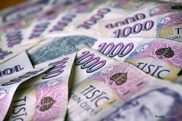 detailní fotografie