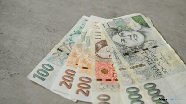 detailní fotografie