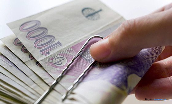 detailní fotografie