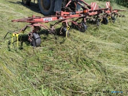 detailní fotografie