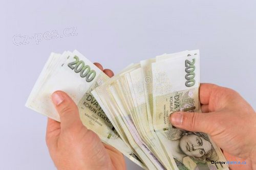 detailní fotografie