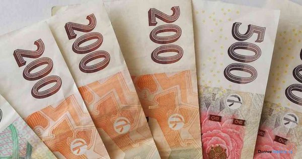 detailní fotografie