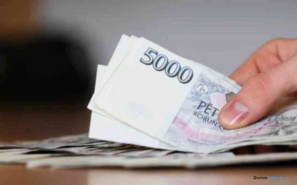 detailní fotografie