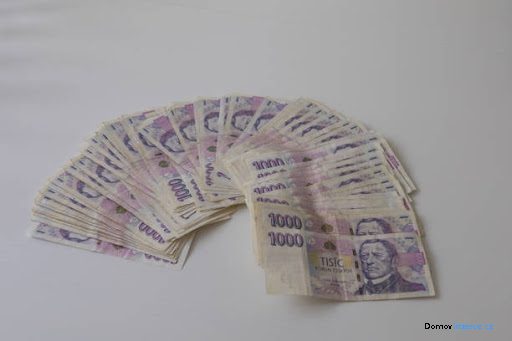 detailní fotografie