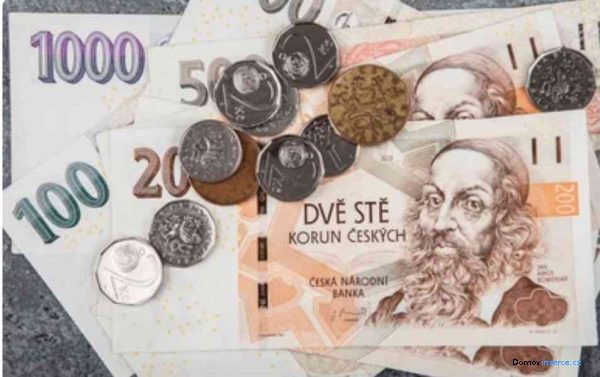 detailní fotografie